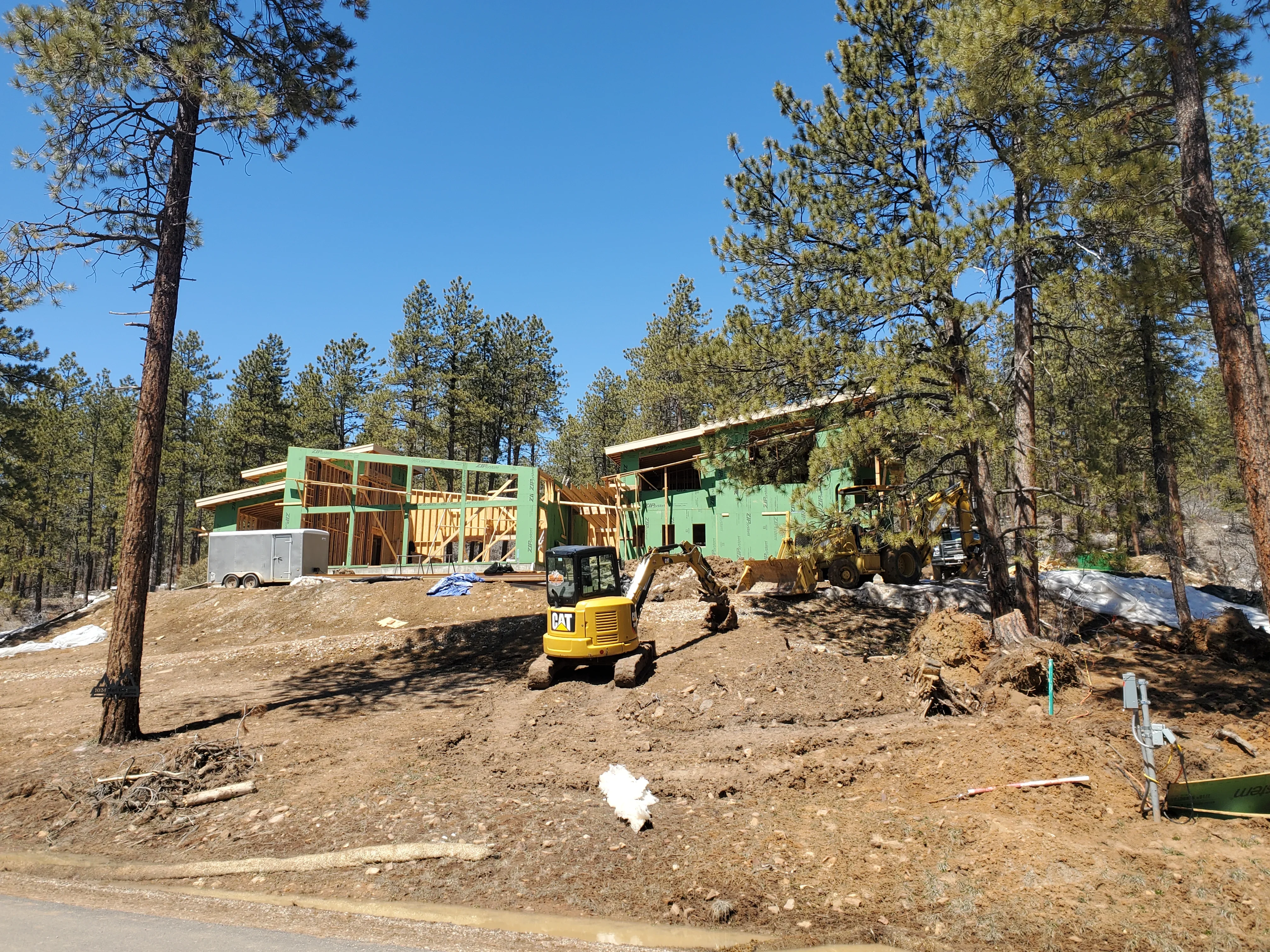 Residential framing with green walls and exposed wood trusses in forest clearing with pine trees